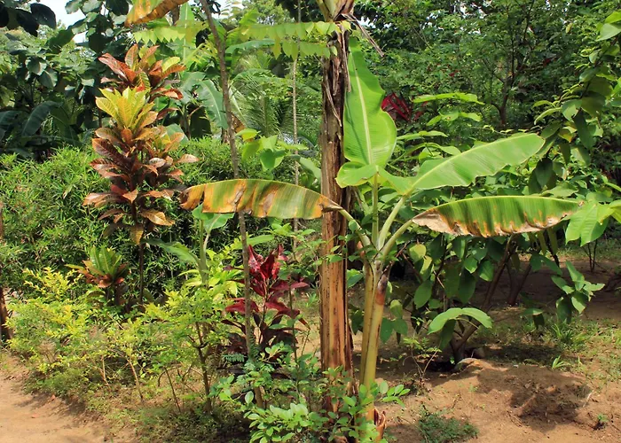 Suba Home Stay